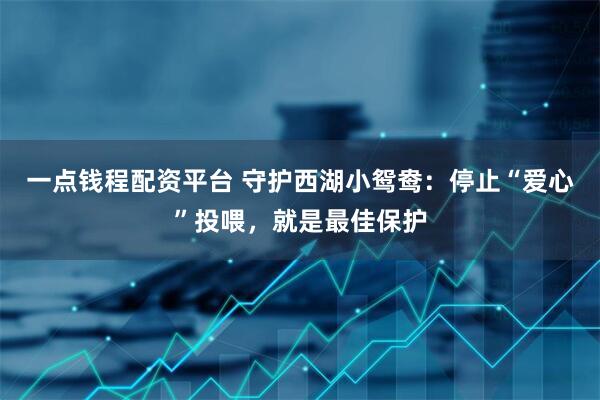一点钱程配资平台 守护西湖小鸳鸯：停止“爱心”投喂，就是最佳保护