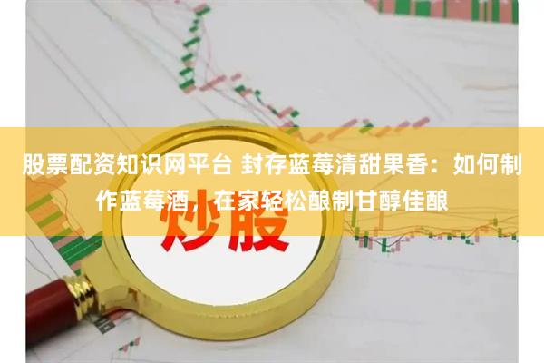 股票配资知识网平台 封存蓝莓清甜果香：如何制作蓝莓酒，在家轻松酿制甘醇佳酿